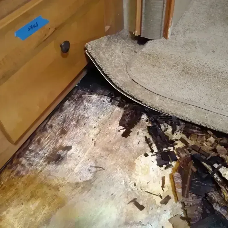 Best Wood Floor Water Damage Service in Lexington, MA